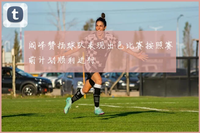 阎峰赞扬球队表现出色比赛按照赛前计划顺利进行