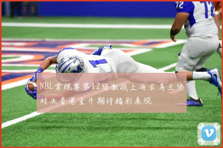 NBL常规赛第12场激战上海玄鸟主场对决香港金牛期待精彩表现
